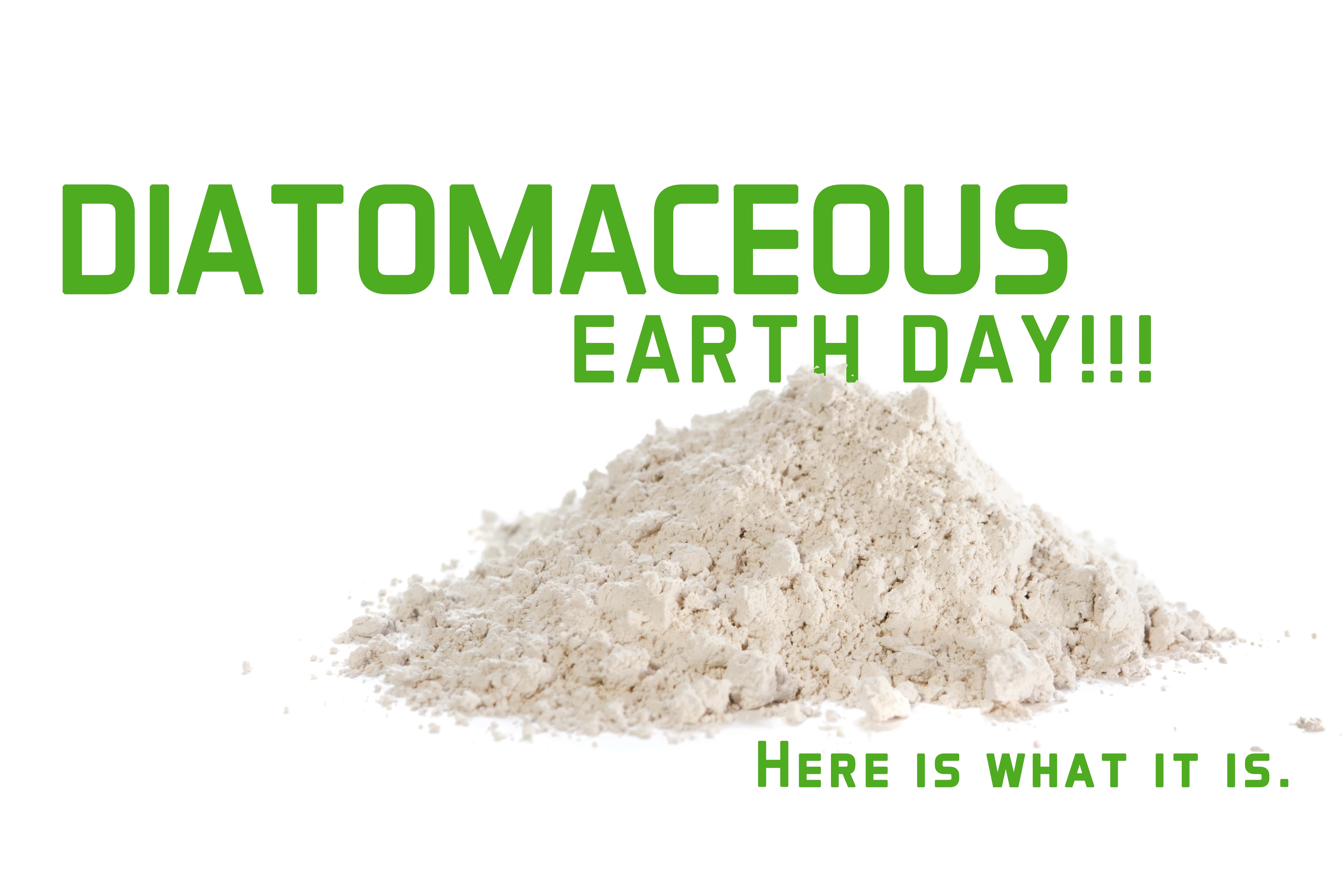 It%E2%80%99s-Diatomaceous-Earth-Day-min.